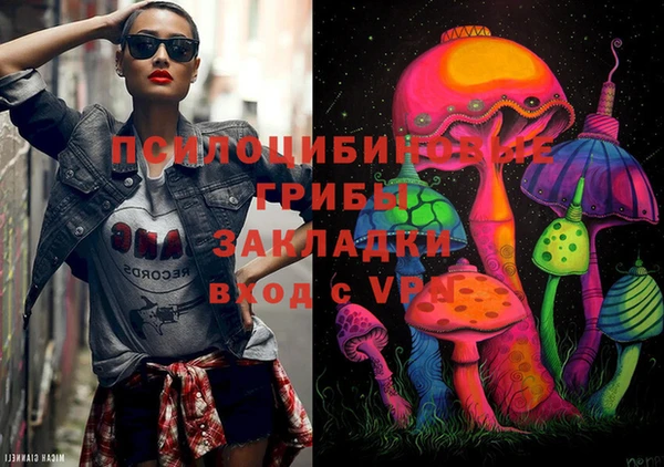 мдпв Вязники