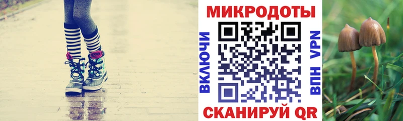 как найти закладки  Ильский  Псилоцибиновые грибы MAGIC MUSHROOMS 