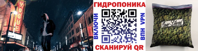 Конопля OG Kush  купить наркотик  Ильский 